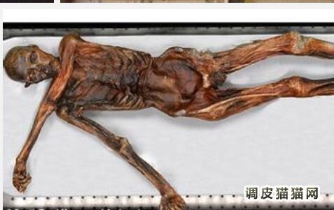 韩国男子上吊自杀6年后被发现 男子上吊自杀图片