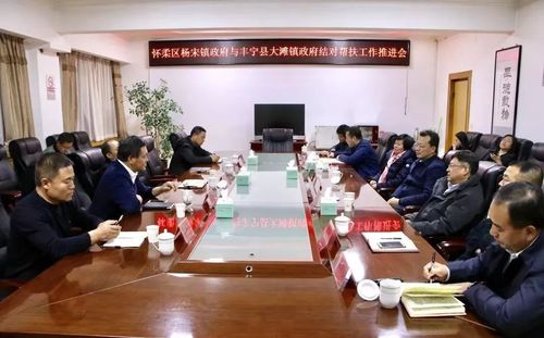 12月18日,丰宁县委常委组织部长徐树星,副县长王青山带队,大滩镇党委
