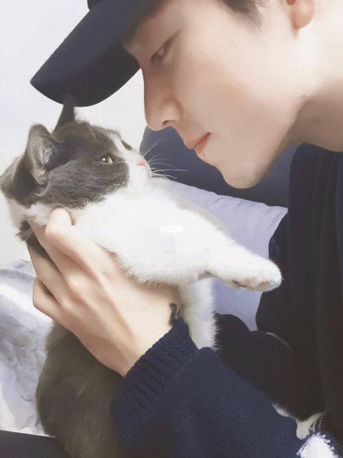 魂穿坚果小猫咪,我好爱你战战_猫咪_肖战_娱乐_明星