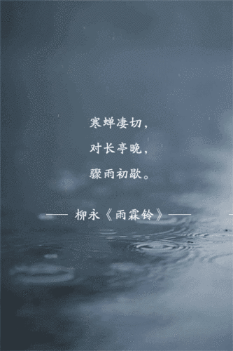440_660竖版 竖屏gif 动态图 动图