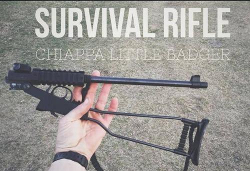 两百美元都不用?简单到极致的意大利生存步枪——齐亚帕小獾