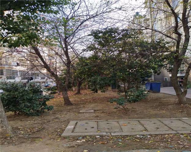 蓝天花园(东区),星园路,近星湖南路-常州蓝天花园(东区)二手房,租房
