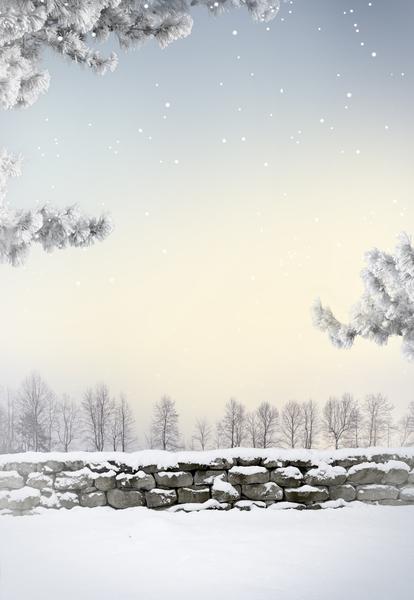 冬天,季节,树,雪,雪花,栅栏,设计,文字,背景,无人,雪景,六边形,寒冷