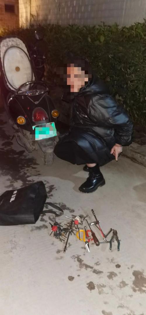 女子为吸毒疯狂盗窃作案17起