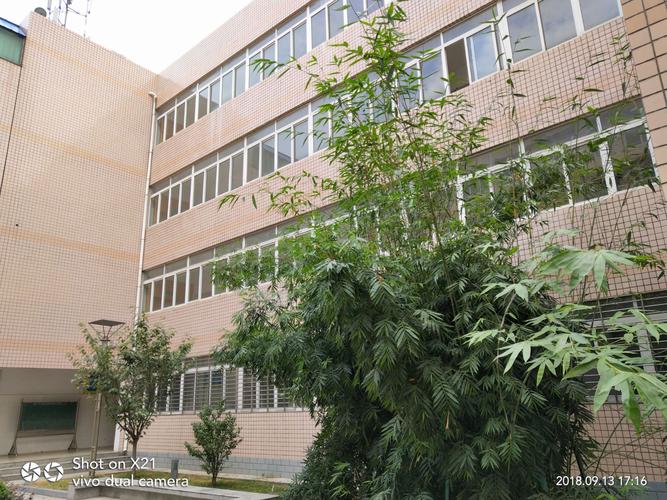 筑梦 花开 ——湖北枣阳一中