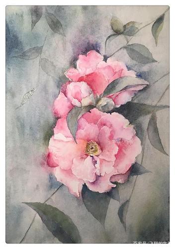 一起学书画:油画山茶花,不知道谁有更好的作品