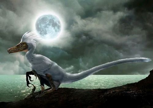 tm ( ("\(●-●) \ / 0\ \ ( )" \__t__/ 似驰龙属 栾川盗龙属 侦察龙