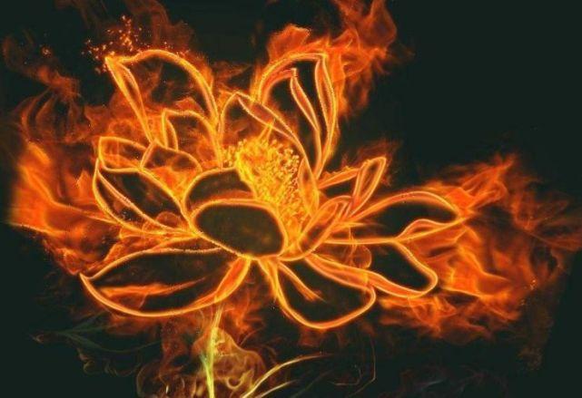 斗破苍穹萧炎佛怒火莲的几次进化终极版足以毁灭一座大陆