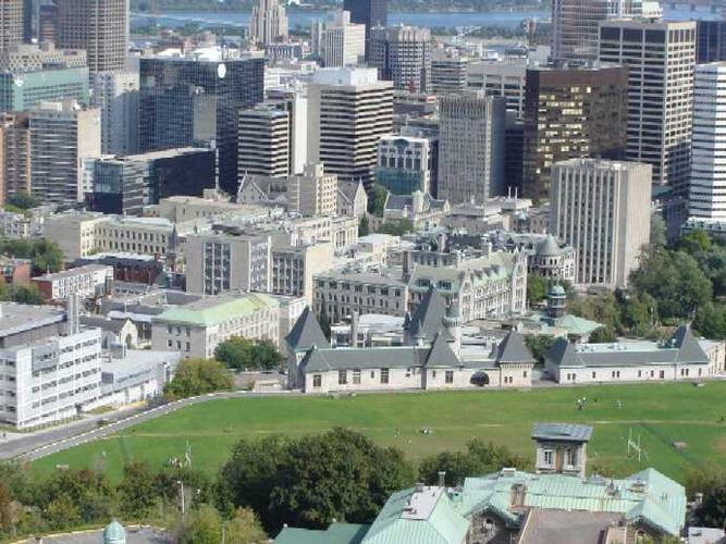 麦吉尔大学 mcgill university