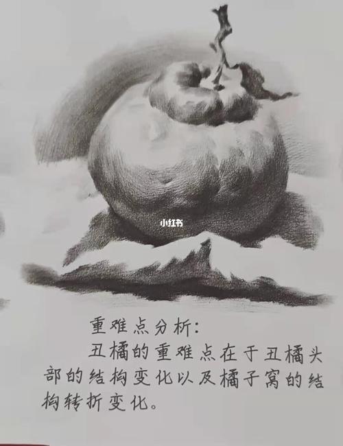 丑橘92单体明暗步骤示范_素描_素描教程_文化_绘画