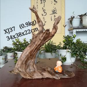 长白山天然琥珀木松树明子根雕创意,随型,自然小摆件【根缘居】