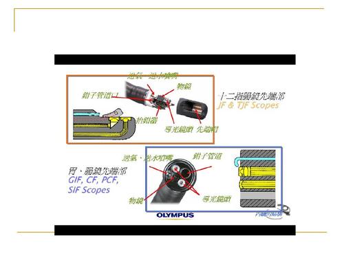 胃镜操作基础知识ppt