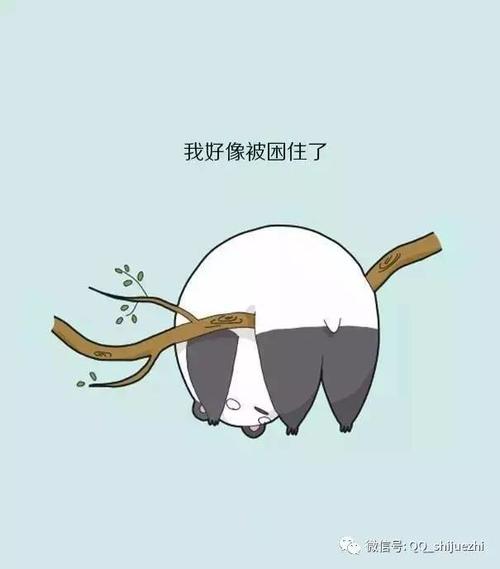 过年你胖了几斤2017体重标准出来了