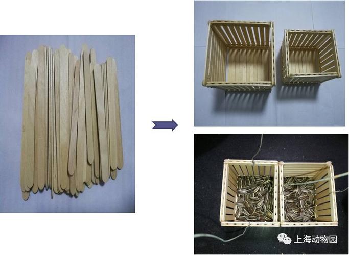 雪糕棒饲喂器,恩,铲屎官们也是吃货无误!