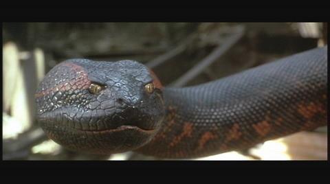 狂蟒之灾1的第2条巨蟒