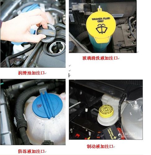 求科鲁兹机体全图保养过程 本人不是很清楚防冻液制动