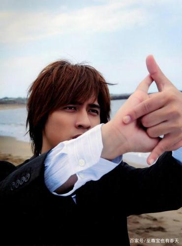 流星花园里的花泽类,深情密码里的戚伟易,痞子英雄里的陈在天,战神里