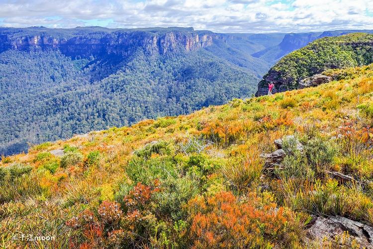 [转载]不到格罗斯大峡谷,就不知道澳洲蓝山有多美!
