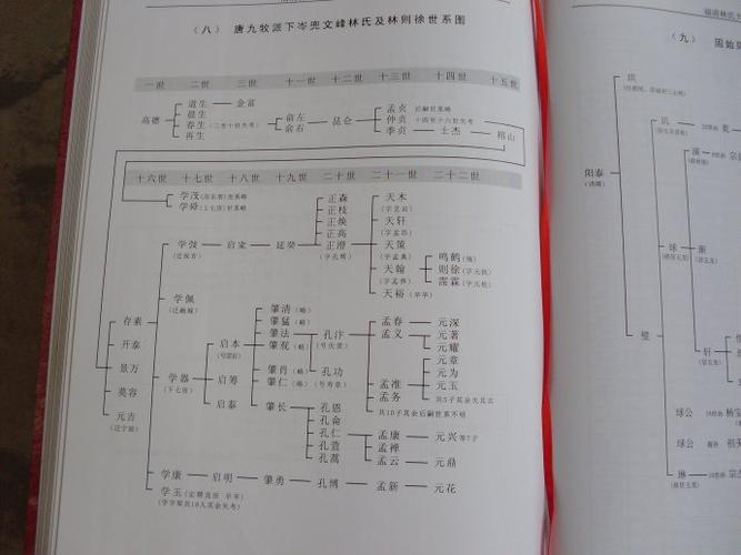附林则徐始袓林高德的文峰林氏世系