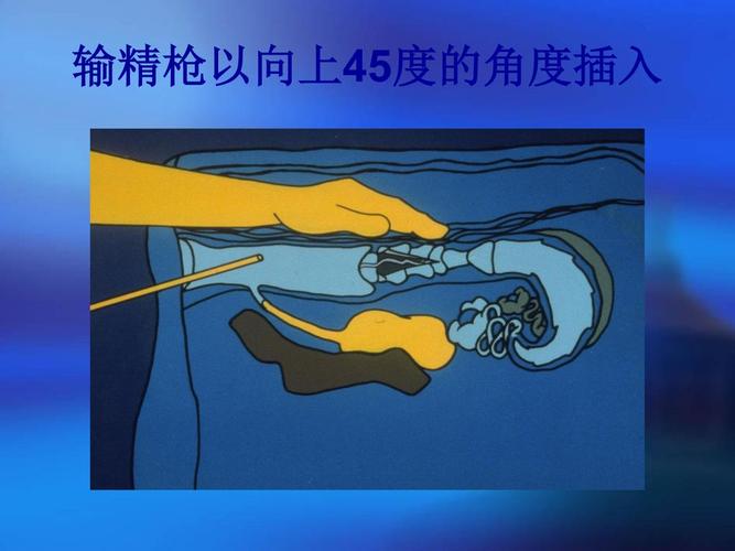 牛人工授精技术 延边大学农学院动物科学系 方南洙教授.