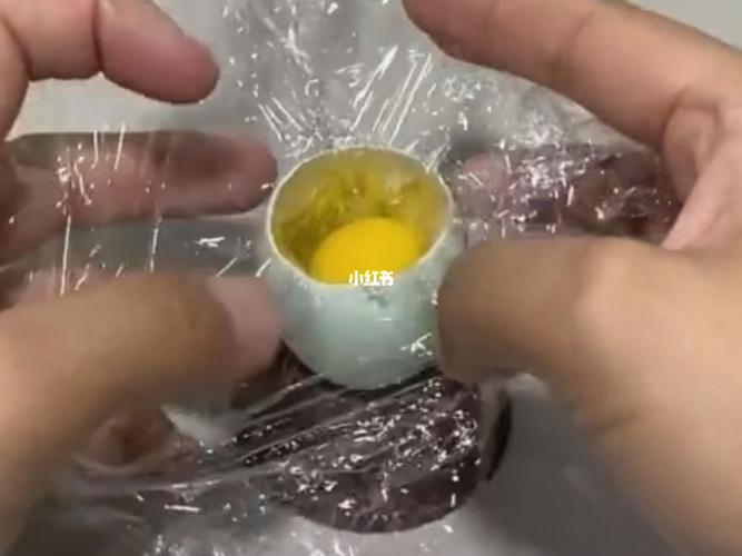 在鸭蛋壳里孵化小鸡_鸭蛋_兴趣爱好