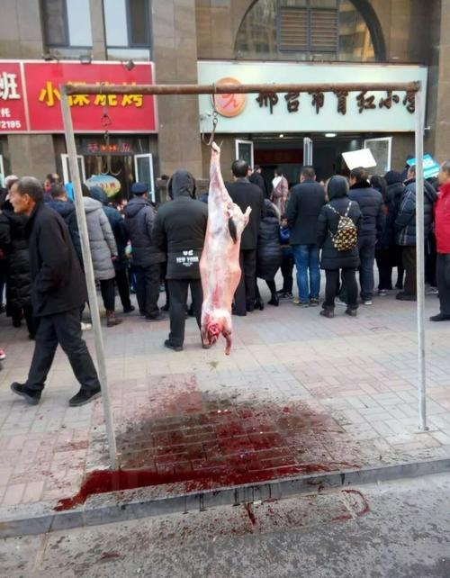 邢台育红小学门口当街屠宰,家长反映太血腥!