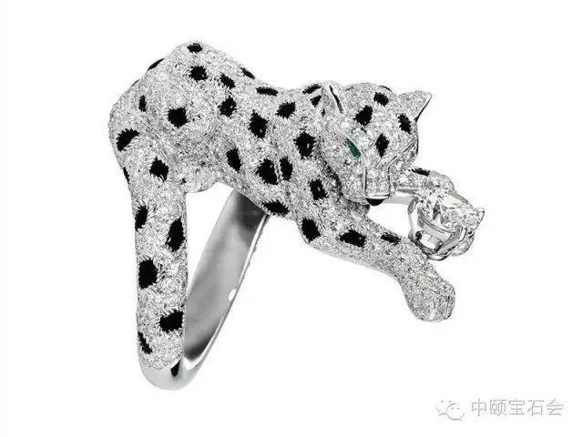 代代更迭穿梭于卡地亚世界的神秘猎豹