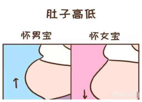"上怀男,下怀女"?孕妇肚子形状不同,对胎儿有哪些影响?