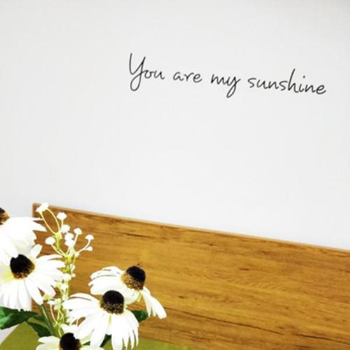 英文sunshine图片大全,带有sunshine图片 ins北欧墙纸 you are my sunshine英文墙贴你是我的
