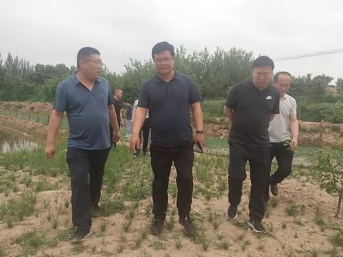 李炜,王慧忠在牛寺乡和松村乡调研脱贫攻坚和农业产业发展等工作