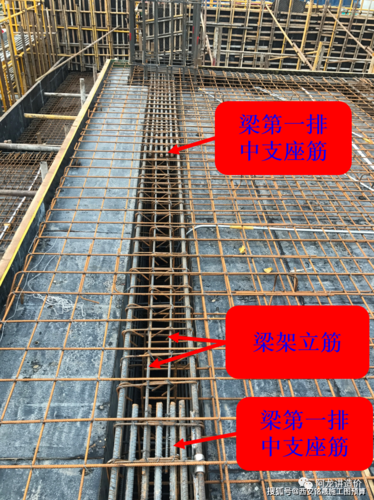 横向钢筋:箍筋(双肢箍,多肢箍) 3.