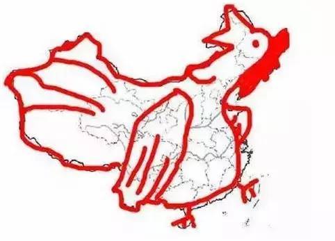 中国地图上的雄鸡图案简笔画