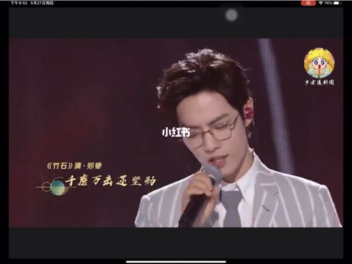 肖战《竹石》_肖战_娱乐_综艺片段