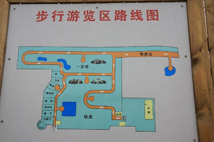 东北八日自助游:来到哈尔滨,正好赶上春