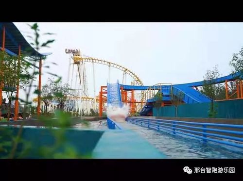 智跑游乐园祝大家元旦快乐