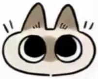 小朱是想画暹罗猫小豆泥还是小猪头啊