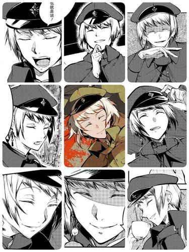 文豪野犬条野采菊|lofter(乐乎) - 让兴趣,更有趣