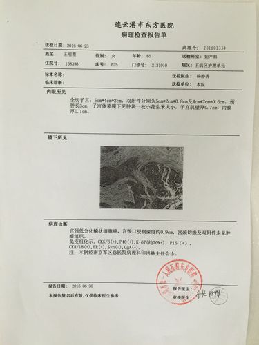 子宫癌一起,已经切除,切片病理报告究竟表达了什么样的信息,根据这份