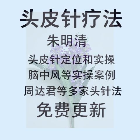 头针疗法朱氏头皮针朱明清头皮针定位及实操视频教程中医针灸
