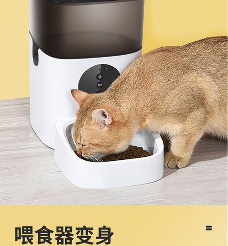 玲珑猫 智能宠物喂食器狗狗猫咪用品猫咪全自动投食器