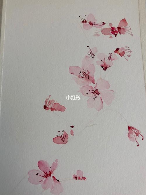 桃花_水彩画_水彩画教程_文化_绘画
