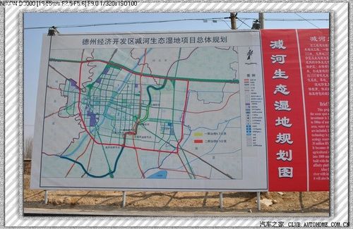 我的炫丽生活-德州初春一日游(减河湿地公园,长河公园)海量图