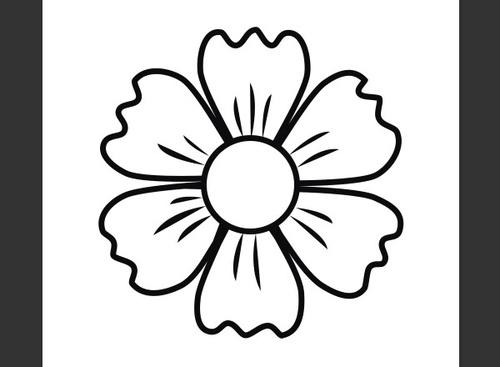 给花朵上色
