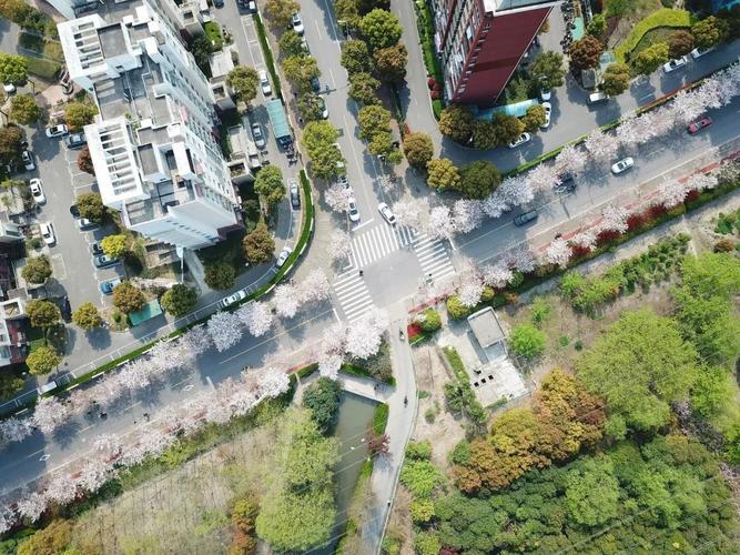 高东镇新跃路健身步道