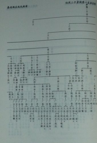 泰安姚庄赵氏族谱伯周三子彦荆第一支通序谱一