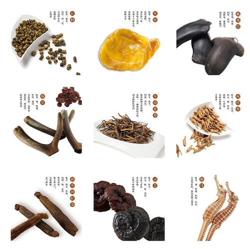 chinese medicine introduction posters 滋补品海报