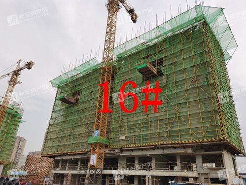 帝景绿岸阳光5月工程进度:15#16#楼目前建至第9层