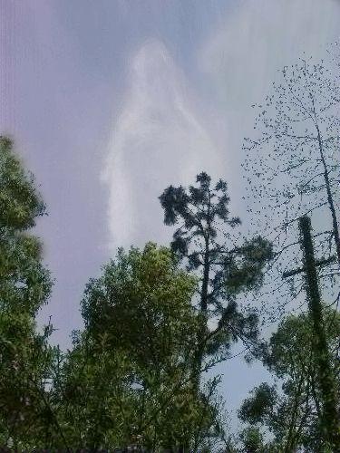 观世音菩萨显灵图片