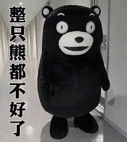 熊本熊表情包请问可以看下你的胖次吗