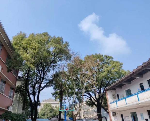 蓝天小学74▲仰天湖桂花坪小学黄鹤小学让人忘却烦恼与忧愁用它广阔